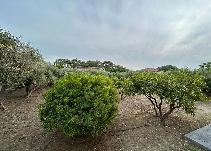 Lina\'S Amazing House In Ialysos