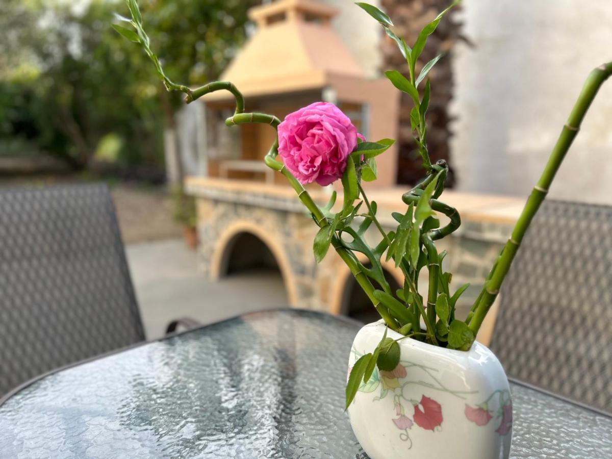 Lina's Amazing House In Ialysos * איקסיה
