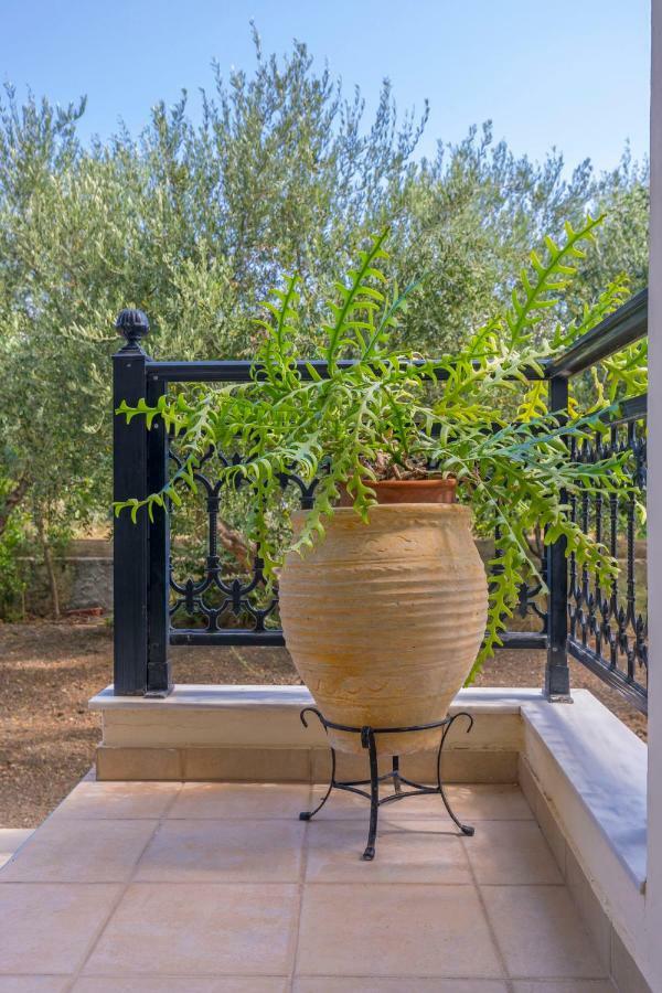 Villa Lina's Amazing House In Ialysos Ixia (Rhodes)
